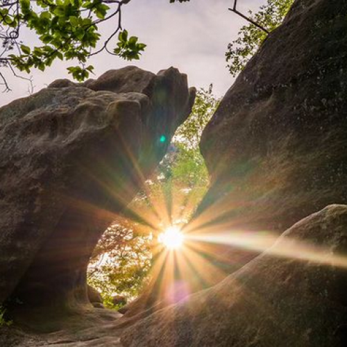 Sonnenstrahlen - Fotograf Louis Langer